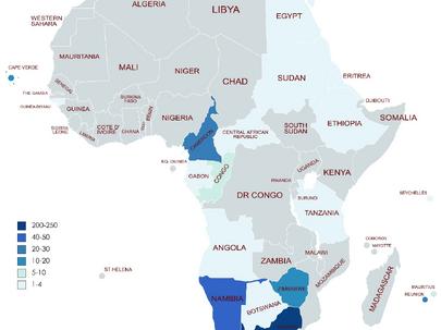 Permanent Deacons distribution throughout Africa